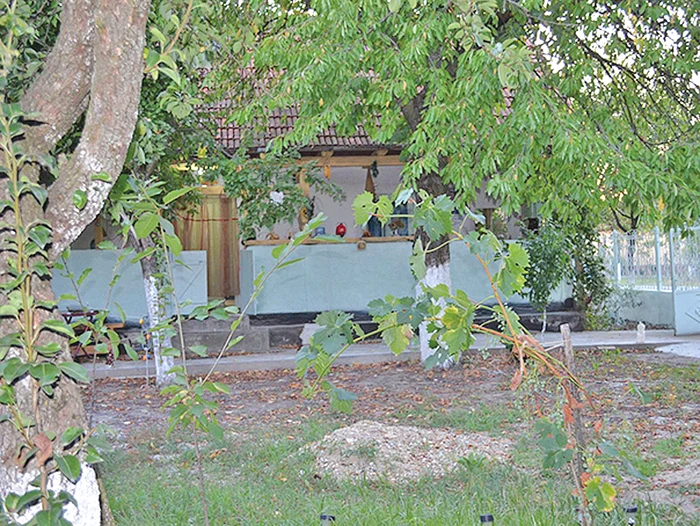 Casa este la 60 de km de Arad