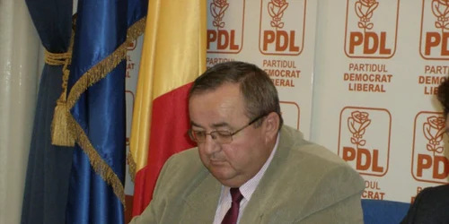 primari arad