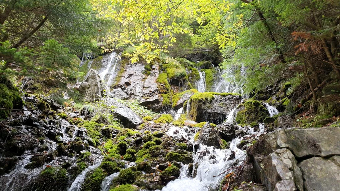 Cascada Valea Spumoasă Foto: Facebook