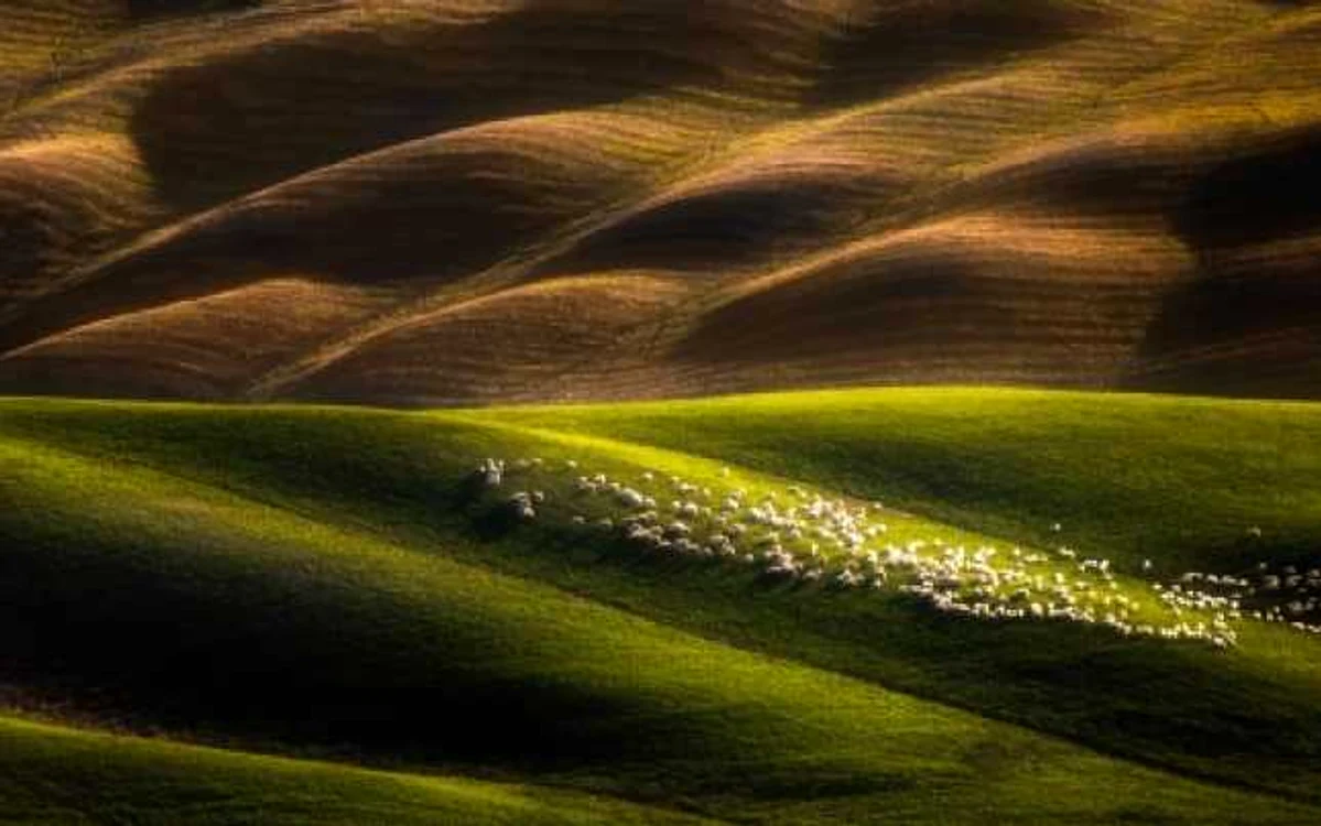 Fotograful-Anului-Romania-2018-landscape