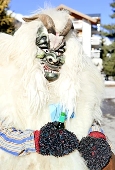 7 shutterstock 73293619 jpg jpeg