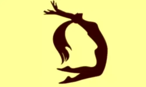 silueta femeie iluzie optica jpg