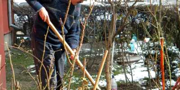 Lupan Ilisie a început deja lucrările în grădina din faţa blocului. Foto Veronica Ganea.