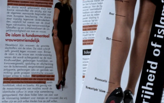 Afişele distribuite în oraş o arată pe senatoarea Anke Vandermeersch, cu picioarele descoperite,şi încălţată într-o pereche de pantofi Louboutin FOTOGRAFII: huffingtonpost.com
