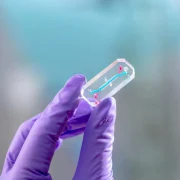 c emu chip glove dye l2 large webp