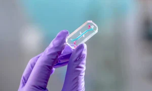 c emu chip glove dye l2 large webp