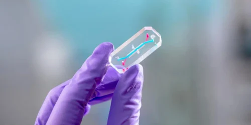 c emu chip glove dye l2 large webp