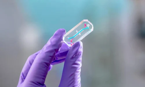 c emu chip glove dye l2 large webp