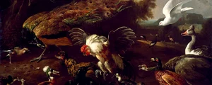 O gâscă moțată (în dreapta) apare într-un tablou pictat de Melchior d' Hondecoeter în 1680. Pictura se află în prezent la Museum of Fine Arts din Houston (© Wikimedia Commons)