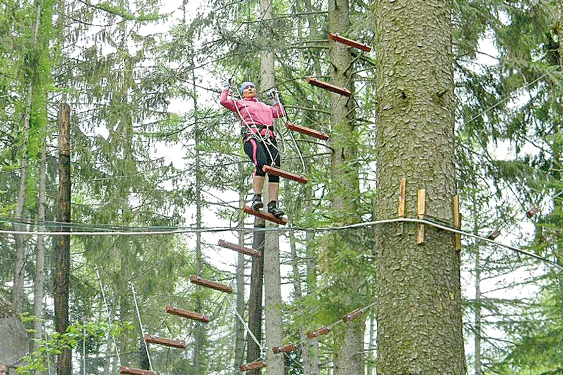 Dacă ai chef să te  caţări în copaci, vino la  “Aventura Park”!