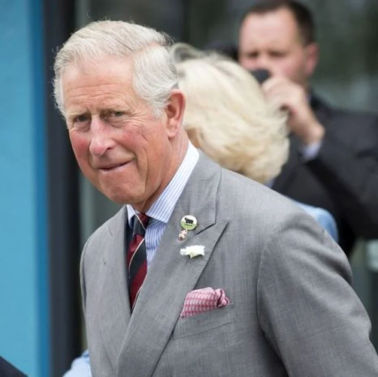 Prinţul Charles deţine mai multe case în România Foto Hepta