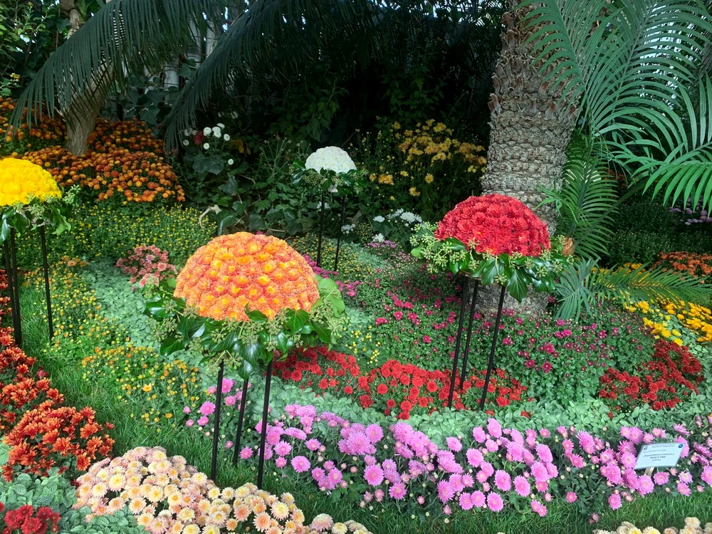 Grădina Botanică din Iași. 