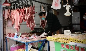 Piață de carne în Wuhan jpeg