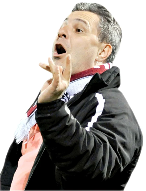 
    Marius Şumudică  