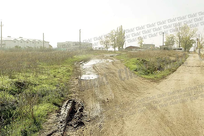 Aşa arată drumul spre  adăpostul din Mihăileşti