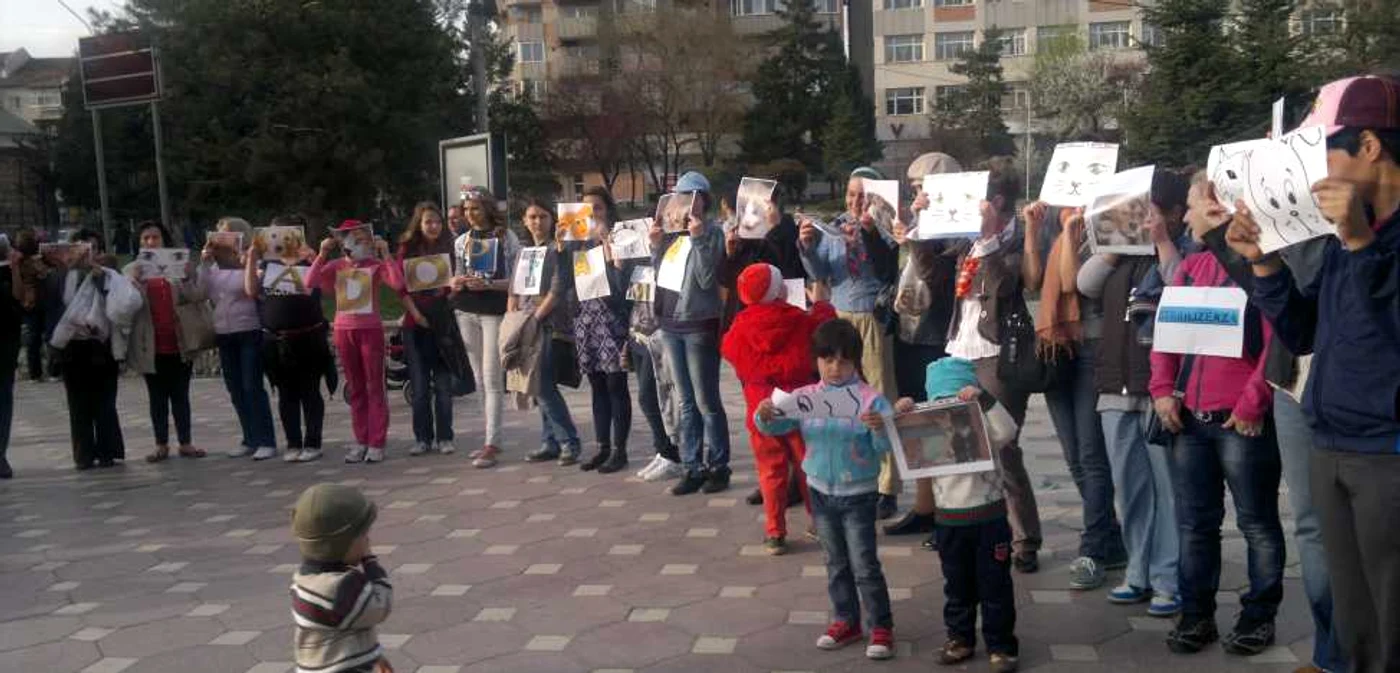 Iubitorii animalelor fara stapan s-au adunat „La Ceas”