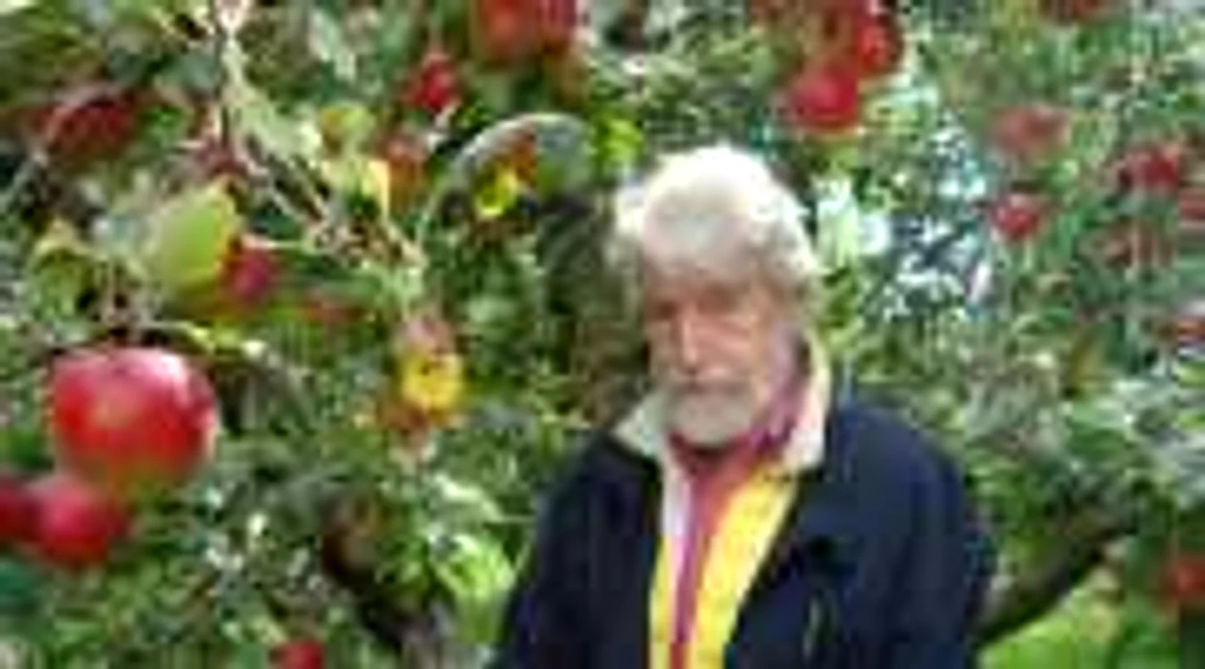 Graficianul Eugen Mihăescu