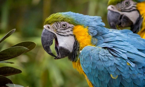 1 69260 original jpg jpeg