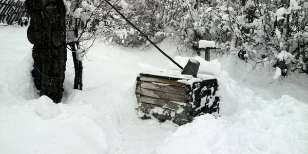 Comuna Bătrâni, judeţul Prahova (Andreea Mirică)