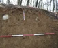 Foto: Facebook / Muzeul Județean de Istorie și Arheologie Prahova