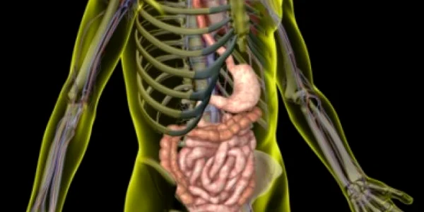 Inainte de a fi cancer, tumorile colonice sunt, de obicei, polipi adenomatosi (tumori benigne)