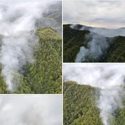incendiu olanesti Cronica olteniei png