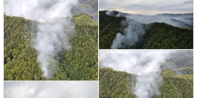 incendiu olanesti Cronica olteniei png