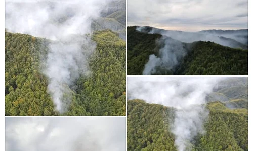 incendiu olanesti Cronica olteniei png