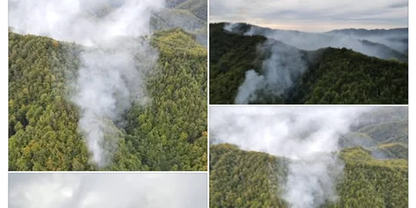 incendiu olanesti Cronica olteniei png