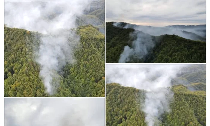 incendiu olanesti Cronica olteniei png