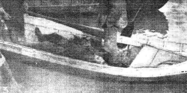 calarasi borcea