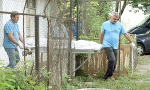 trupul copilului sfasiat caini jpeg