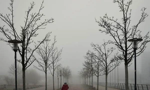 Psihoterapia  Sau despre frumusețea vindecării jpeg