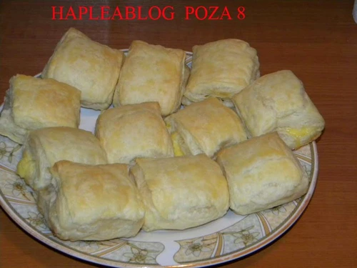 poza 831 jpeg