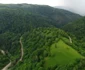 Păduri în județul Hunedoara Foto Daniel Guță ADEVĂRUL (23) JPG