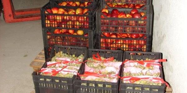 fructe confiscate la turnu severin 