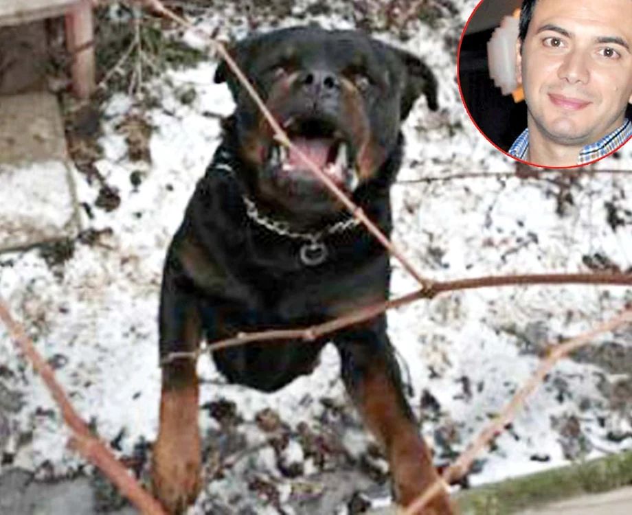 
    Judecătorii au decis  ca rottweilerul Sunny să fie eutanasiat  