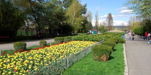 parc strand pitesti