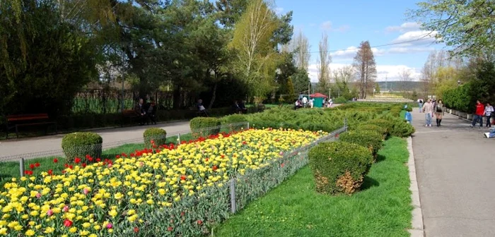 Parcul Ştrand a fost reabilitat cu fonduri europene în 2014 FOTO: Mapio