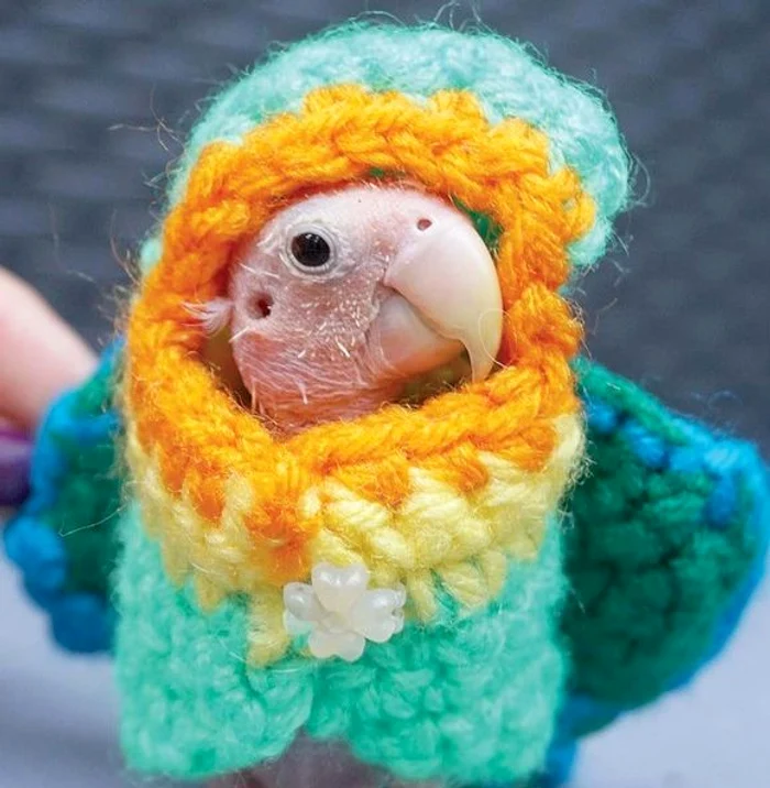 Blănosule, te-ai şi îmbrăcat şi eu sunt gol