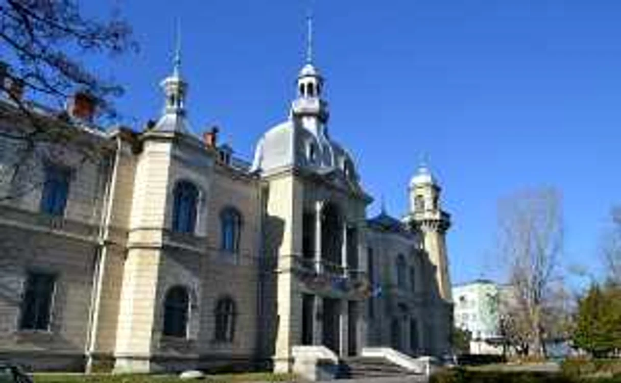 Urmaşii familiei Ghika sunt implicaţi într-un dosar de corupţie. Palatul Ghika din Comăneşti a fost retrocedat în urmă cu doi ani FOTO Mircea Merticariu