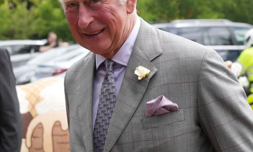 1 printul charles1 jpg jpeg