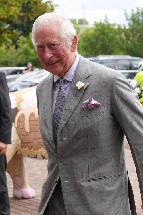 1 printul charles1 jpg jpeg