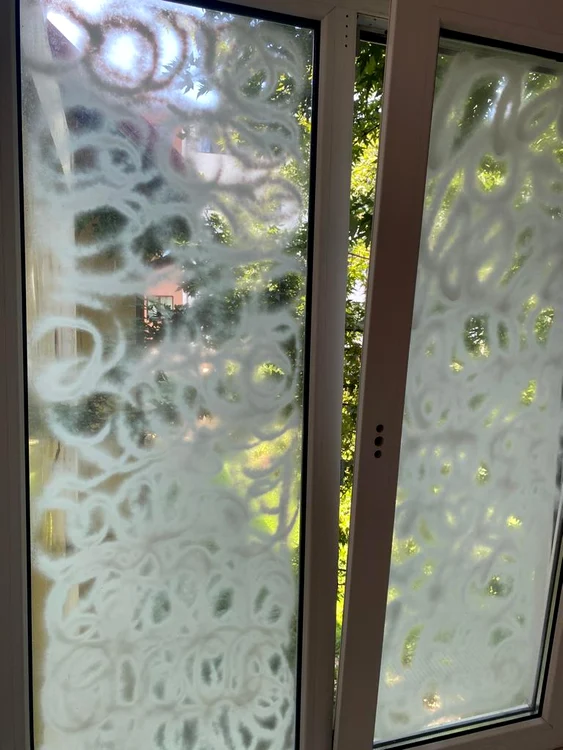 S-au vopsit geamurile de la camere pentru ca nimeni să nu poată vedea înăuntru Foto: Alex Vlaicu