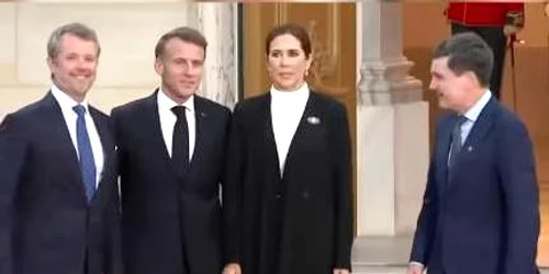 nicusor dan gafa protocol jpg