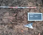 Foto: Facebook / Muzeul Județean de Istorie și Arheologie Prahova