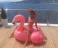 kendall jenner png