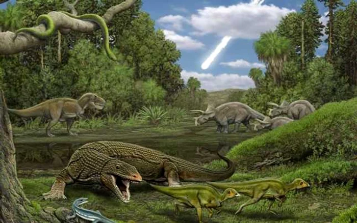 Şopârla Obamadon gracilis (cea albastră) priveşte la o încăierare între un T-Rex şi un Triceraptos