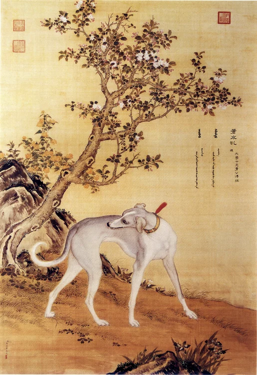 Ogarul chinezesc FOTO wikipedia