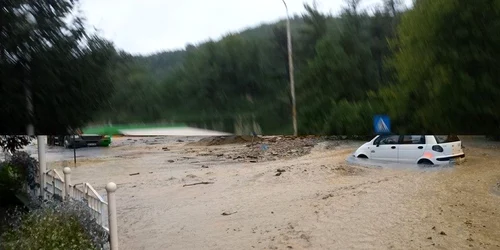 orsova acoperita de ape FOTO Corina Macavei